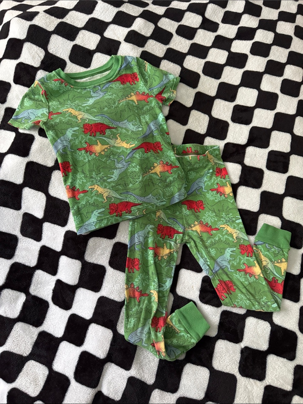 Green Dinosaur Print Kids Pajama Set